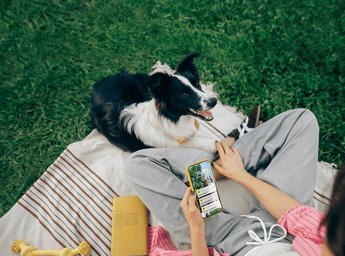 Környezettudatos és etikus vállalatok részvényeibe, kötvényeibe fektető befektetési alapokat kínálunk ügyfeleinknek