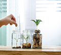 Raiffeisen Recurring Investment
