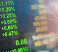 Raiffeisen Local Bond Fund